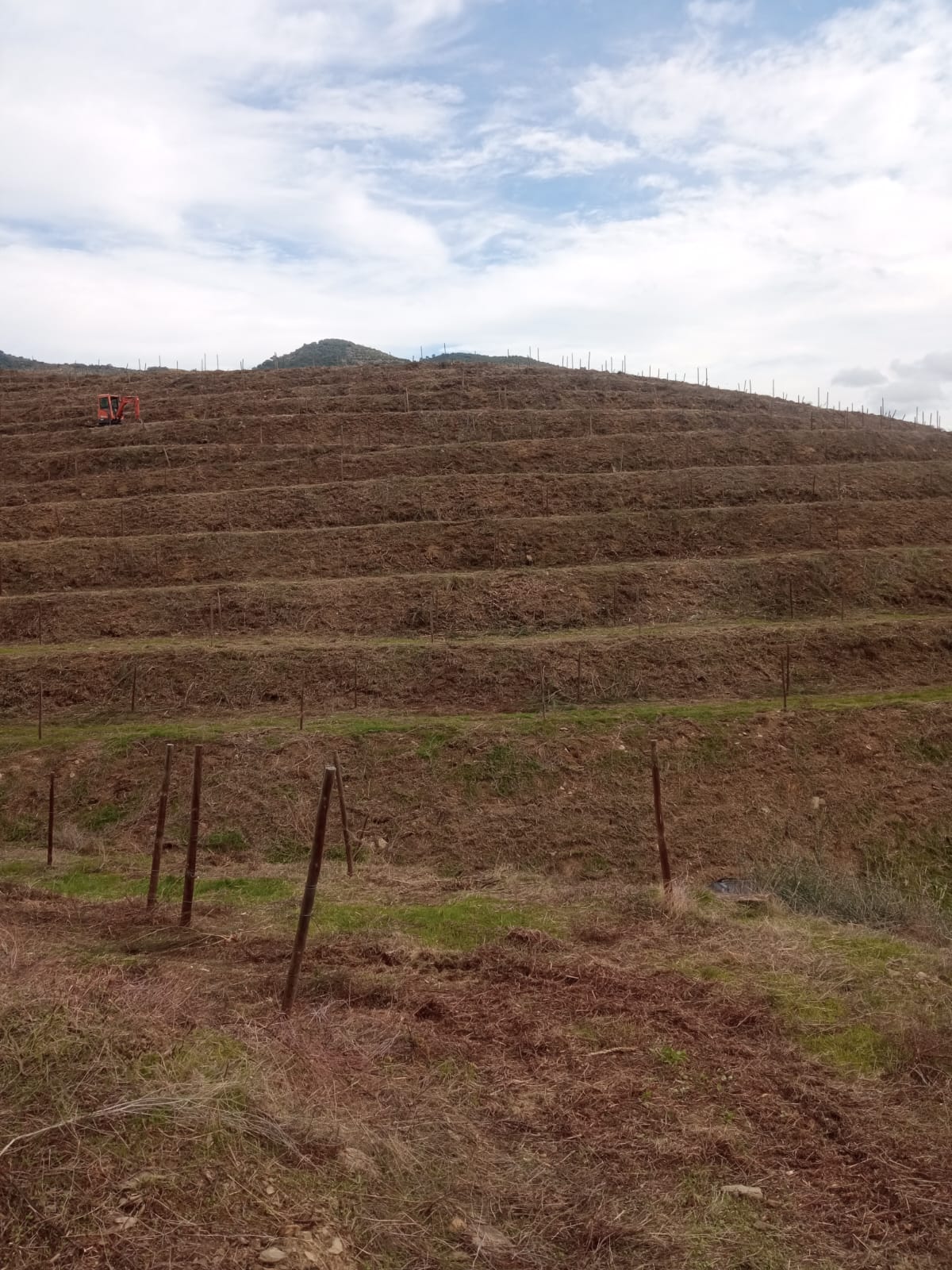 Home WhatsApp Image 2024-12-09 at 12.26.53