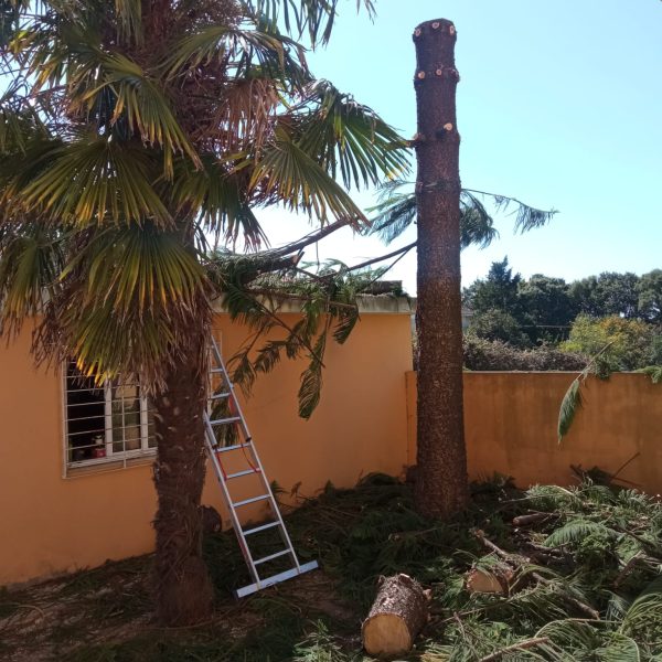 WhatsApp Image 2024-12-09 at 13.01.38