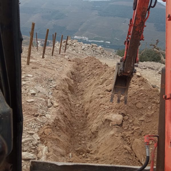 WhatsApp Image 2024-12-09 at 13.13.55