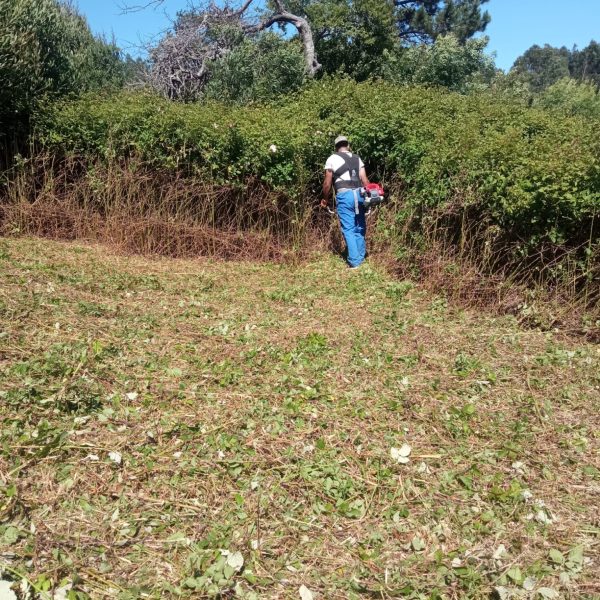 WhatsApp Image 2024-12-09 at 19.13.56